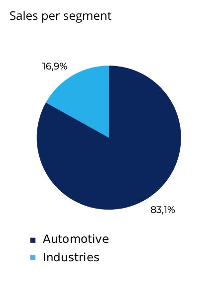 PVL - Sales per segment - 2025